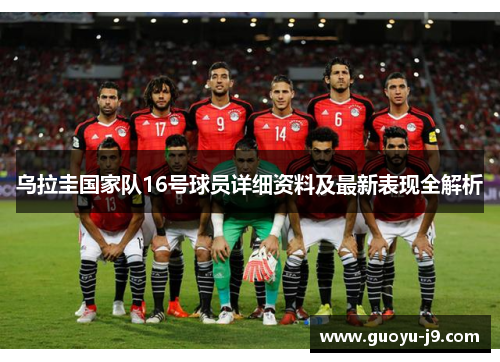 乌拉圭国家队16号球员详细资料及最新表现全解析