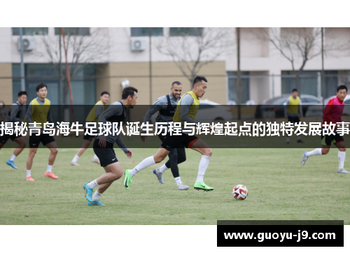 揭秘青岛海牛足球队诞生历程与辉煌起点的独特发展故事