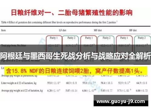 阿根廷与墨西哥生死战分析与战略应对全解析