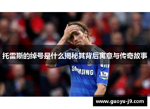 托雷斯的绰号是什么揭秘其背后寓意与传奇故事