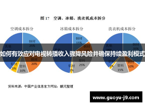 如何有效应对电视转播收入骤降风险并确保持续盈利模式