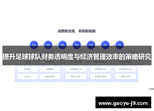 提升足球球队财务透明度与经济管理效率的策略研究