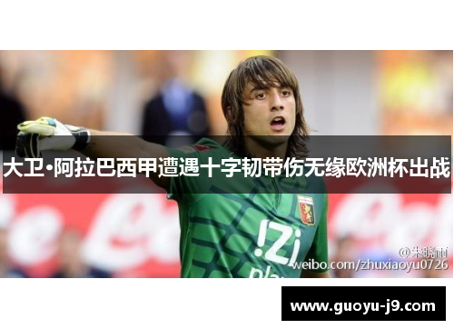 大卫·阿拉巴西甲遭遇十字韧带伤无缘欧洲杯出战